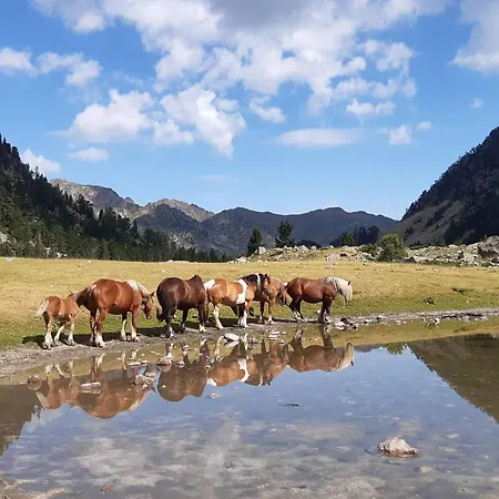 Type 2 Au Centre De Cauterets, 2/4 Pers. - Fr-1-234-333