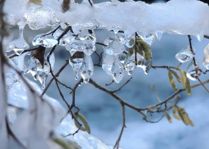 Daire Type 2 Au Centre De Cauterets, 2/4 Pers. - Fr-1-234-333 *