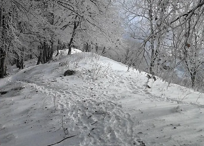 Type 2 Au Centre De Cauterets, 2/4 Pers. - Fr-1-234-333 *