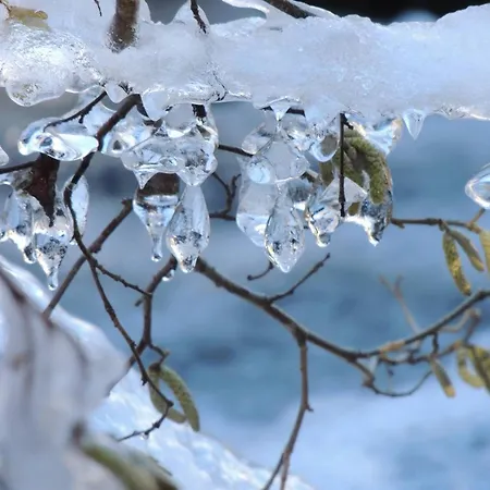 Daire Type 2 Au Centre De Cauterets, 2/4 Pers. - Fr-1-234-333 *