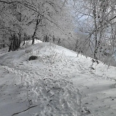 Type 2 Au Centre De Cauterets, 2/4 Pers. *