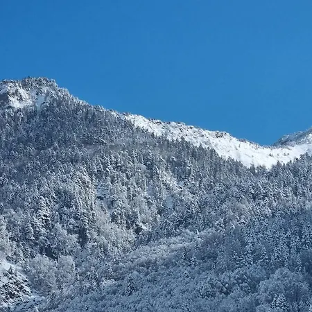 Type 2 Au Centre De Cauterets, 2/4 Pers. - Fr-1-234-333 *